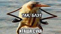  иташа сука