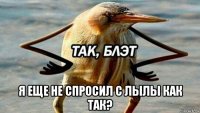  я еще не спросил с лылы как так?