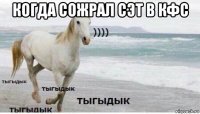 когда сожрал сэт в кфс 