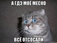 а гдэ моё меско всё отсосали