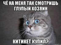 чё на меня так смотришь глупый хозяин китикет купил?