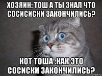 хозяин: тош а ты знал что сосисиски закончились? кот тоша :как это сосиски закончились?