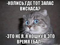 -колись,где тот запас вискаса? -это не я, я кошку в это время ебал...