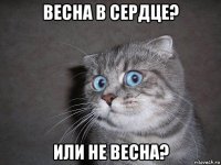 весна в сердце? или не весна?