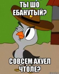 ты шо ебанутый? совсем ахуел чтоле?