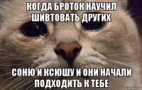 когда броток научил шивтовать других соню и ксюшу и они начали подходить к тебе