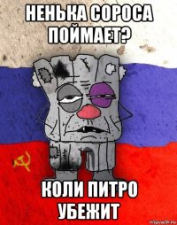 ненька сороса поймает? коли питро убежит