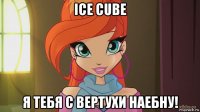 ice cube я тебя с вертухи наебну!