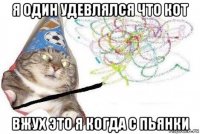 я один удевлялся что кот вжух это я когда с пьянки