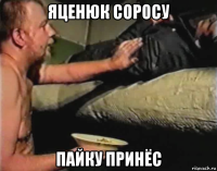 яценюк соросу пайку принёс