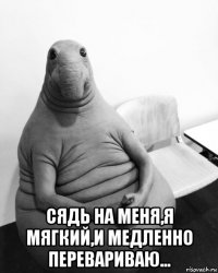  сядь на меня,я мягкий,и медленно перевариваю...