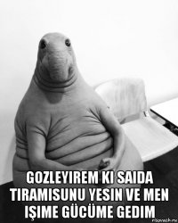  gozleyirem ki saida tiramisunu yesin ve men işime gücüme gedim