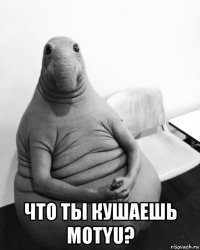  что ты кушаешь motyu?