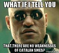 what if i tell you that there are no weaknesses of catalan smes?
