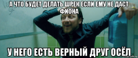 а что будет делать шрек если ему не даст фиона у него есть верный друг осёл