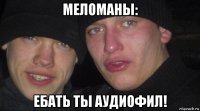 меломаны: ебать ты аудиофил!