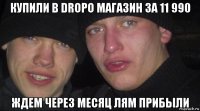 купили в dropo магазин за 11 990 ждем через месяц лям прибыли