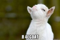  я 4egoat