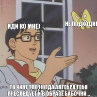 Иди ко мне) не подходи! То чувство когда алгебра тебя преследует и в образе бабочки...