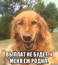  выплат не будет, у меня ёж родил.