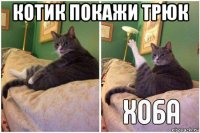 котик покажи трюк 