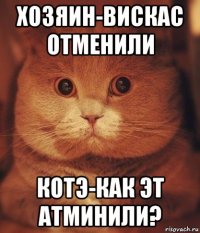 хозяин-вискас отменили котэ-как эт атминили?