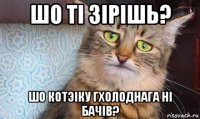 шо тi зiрiшь? шо котэiку гхолоднага нi бачiв?