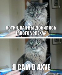 Котик, как вы добились такого успеха? Я сам в ахуе