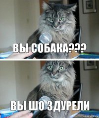 Вы собака??? Вы шо здурели