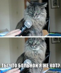  Ты что больной я же кот?