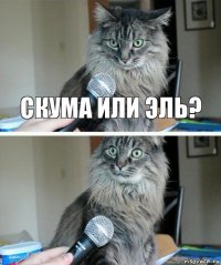 скума или эль? 