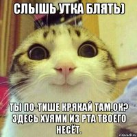 слышь утка блять) ты по-тише крякай там,ок? здесь хуями из рта твоего несёт.