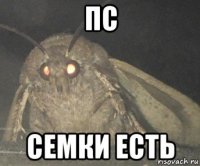 пс семки есть