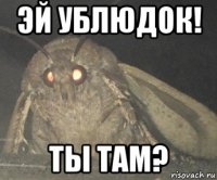 эй ублюдок! ты там?