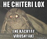 he chiteri lox i ne kachyay virusnyaki