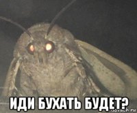  иди бухать будет?