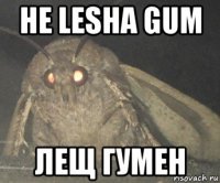 не lesha gum лещ гумен