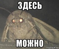 здесь можно