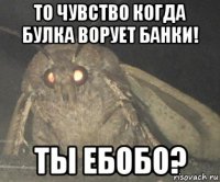 то чувство когда булка ворует банки! ты ебобо?