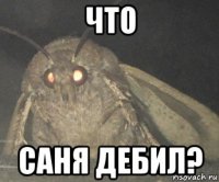 что саня дебил?