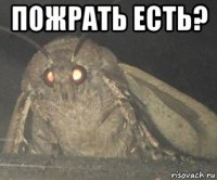 пожрать есть? 