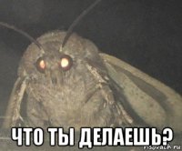  что ты делаешь?