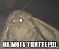  не могу твиттер!!!