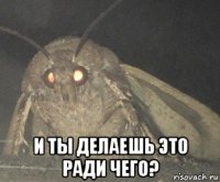  и ты делаешь это ради чего?