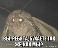  вы, ребята, бухаете так же, как мы?