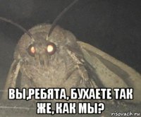  вы,ребята, бухаете так же, как мы?