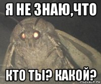 я не знаю,что кто ты? какой?