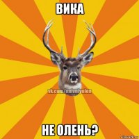 вика не олень?