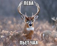 лева пьет чая