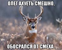 олег ахуеть смешно, обосрался от смеха .